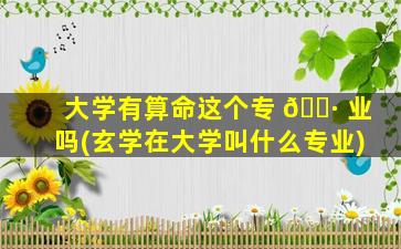 大学有算命这个专 🌷 业吗(玄学在大学叫什么专业)